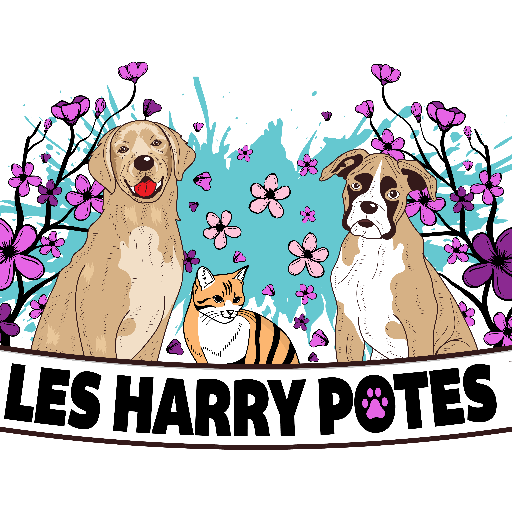 Les harry Potes