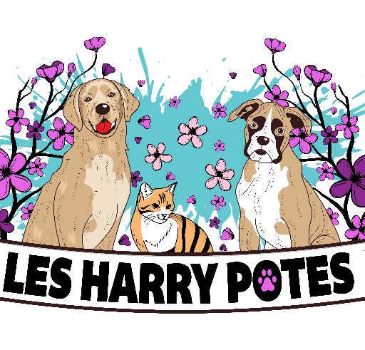 logo-512-512
