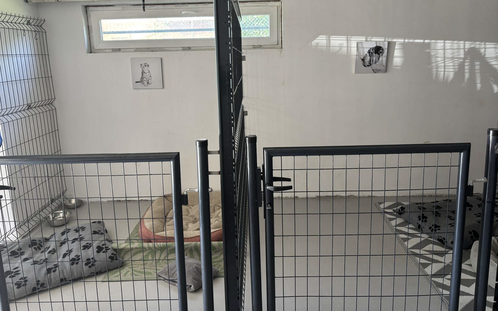 lieu-sommeil-chien lieu-sommeil-chien